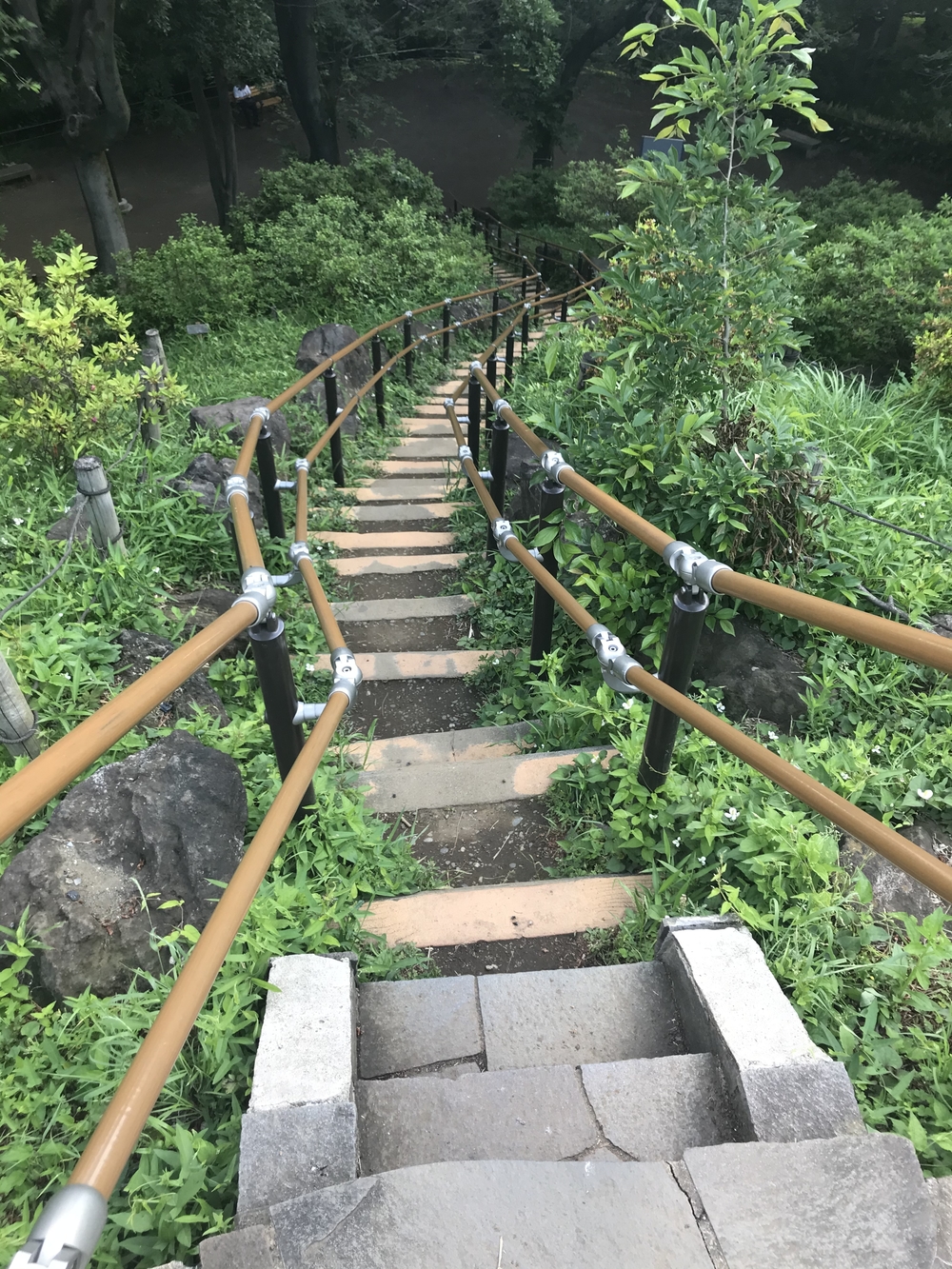 PCN Green Run (5) 南池袋（豊島区）〜早稲田・戸山（新宿区）の写真9