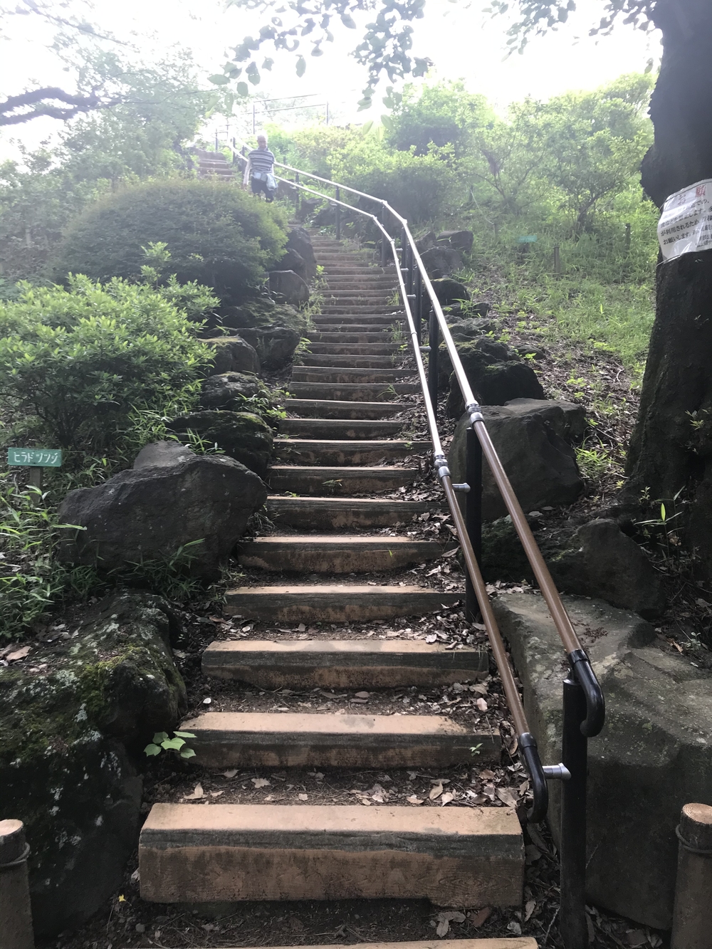 PCN Green Run (5) 南池袋（豊島区）〜早稲田・戸山（新宿区）の写真10