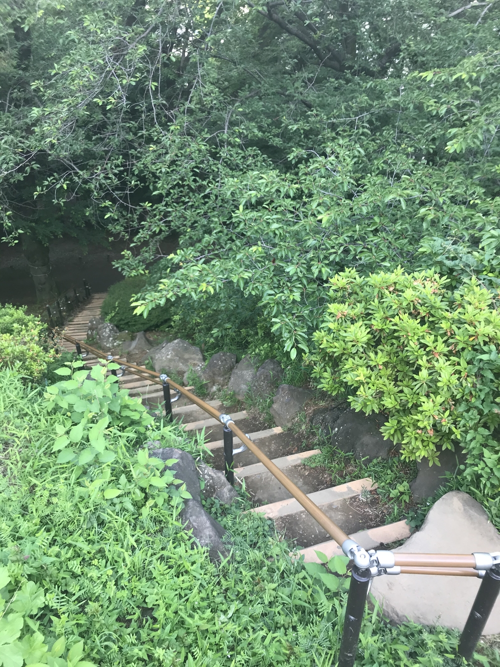 PCN Green Run (5) 南池袋（豊島区）〜早稲田・戸山（新宿区）の写真11