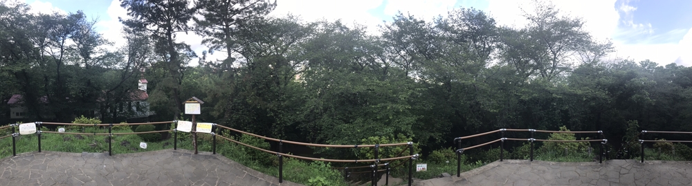 PCN Green Run (5) 南池袋（豊島区）〜早稲田・戸山（新宿区）の写真12