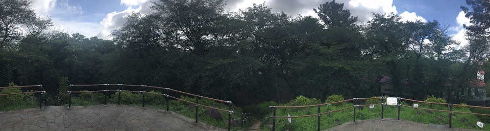 PCN Green Run (5) 南池袋（豊島区）〜早稲田・戸山（新宿区）の写真13