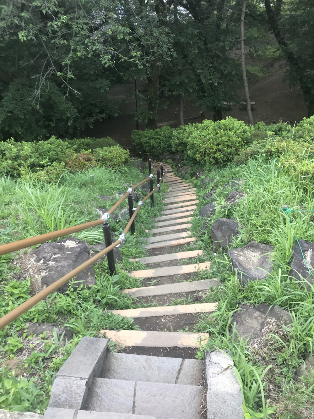 PCN Green Run (5) 南池袋（豊島区）〜早稲田・戸山（新宿区）の写真14