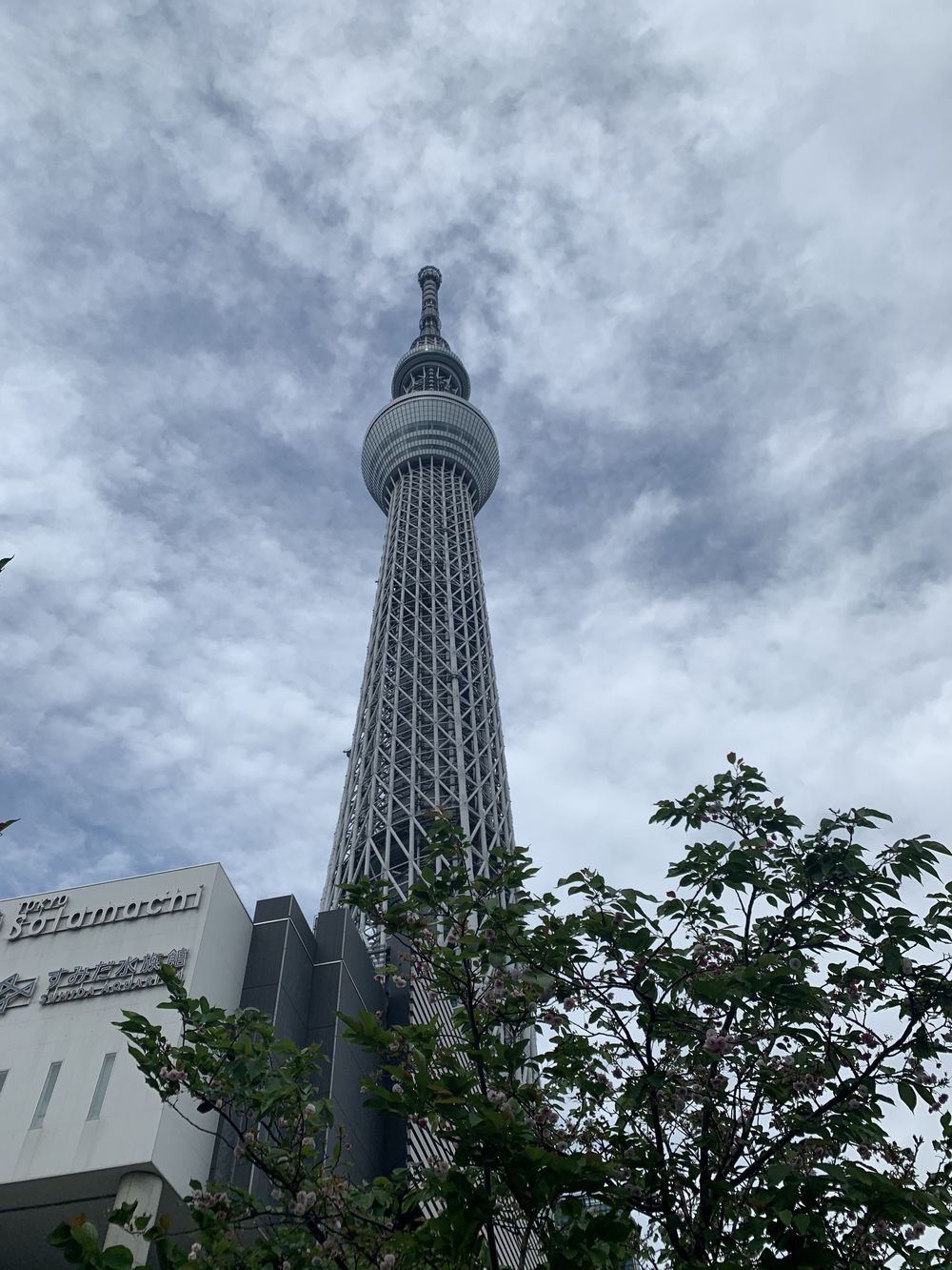 歌川広重と共にRUN　亀戸天神の写真3