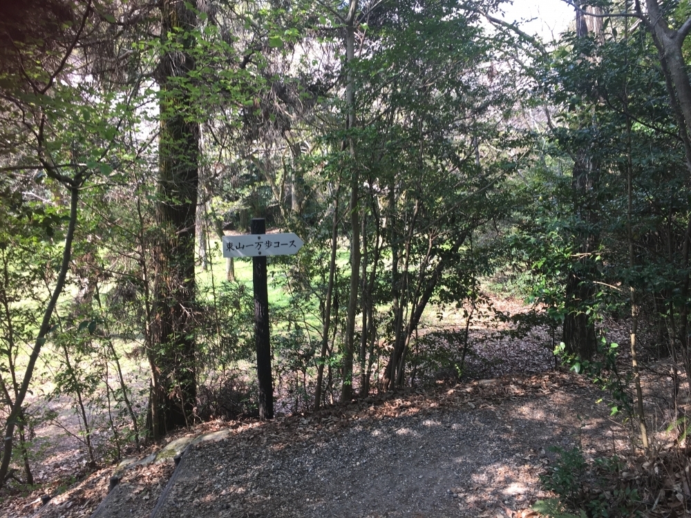 11/8(日)第2回「ナゴラン」～平和公園・東山一万歩コース～の写真3