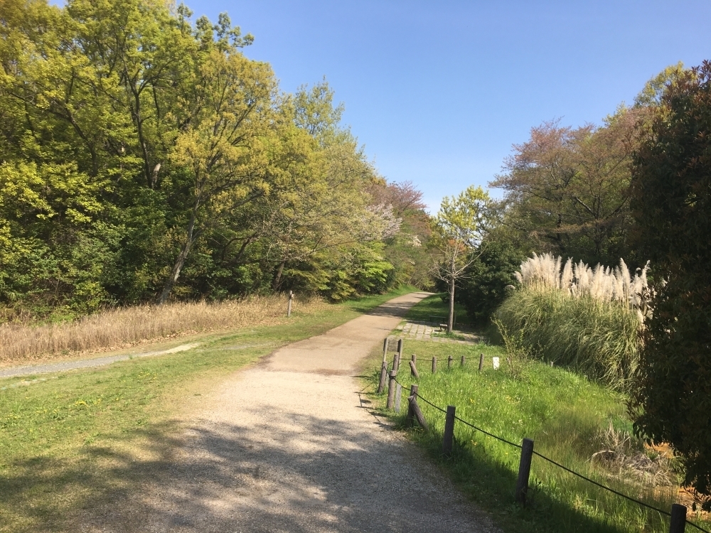 11/8(日)第2回「ナゴラン」～平和公園・東山一万歩コース～の写真4