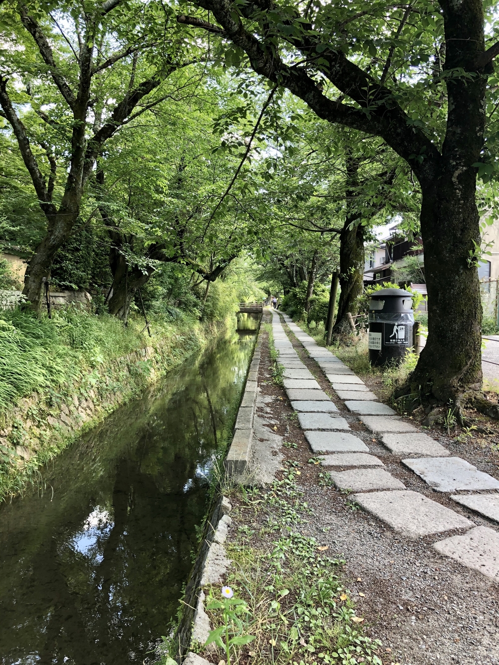 京都市内街ラン（東部）の写真3