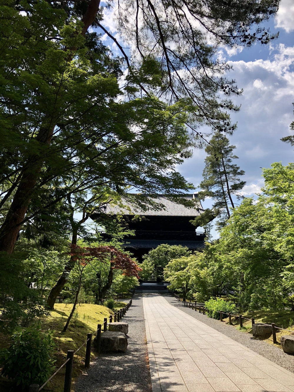 京都市内街ラン（東部）の写真4