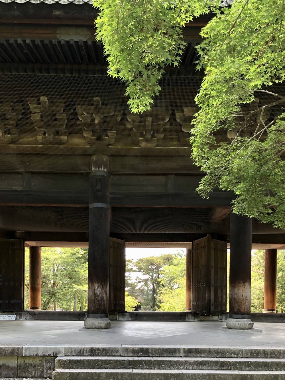 京都市内街ラン（東部）の写真5