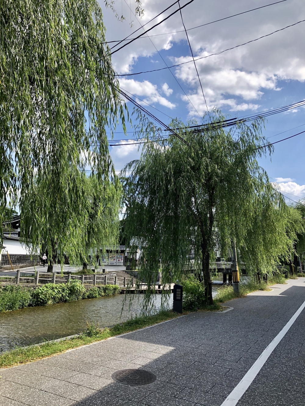 京都市内街ラン（東部）の写真6