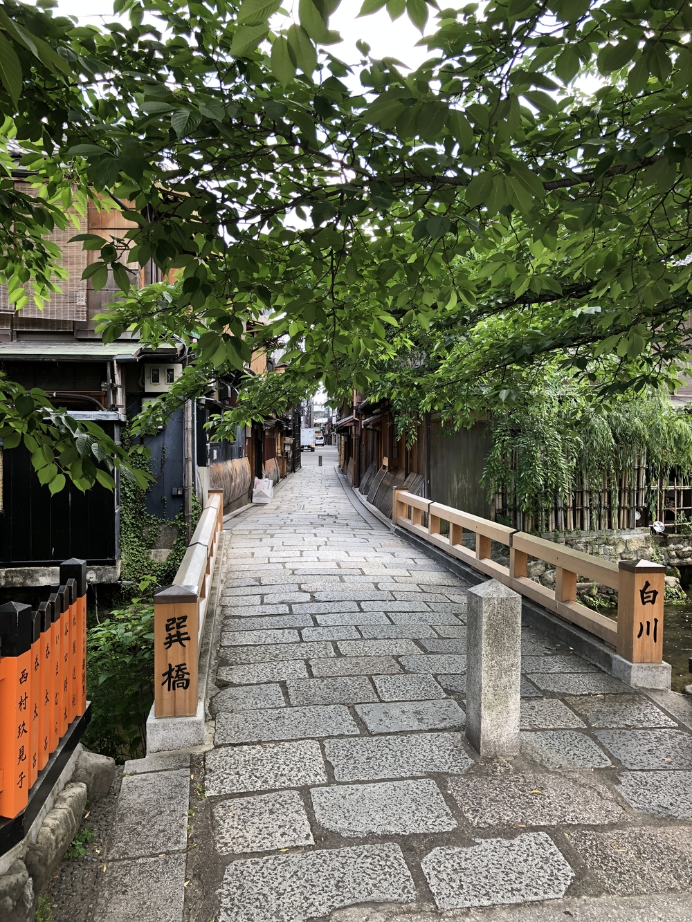 京都市内街ラン（東部）の写真8