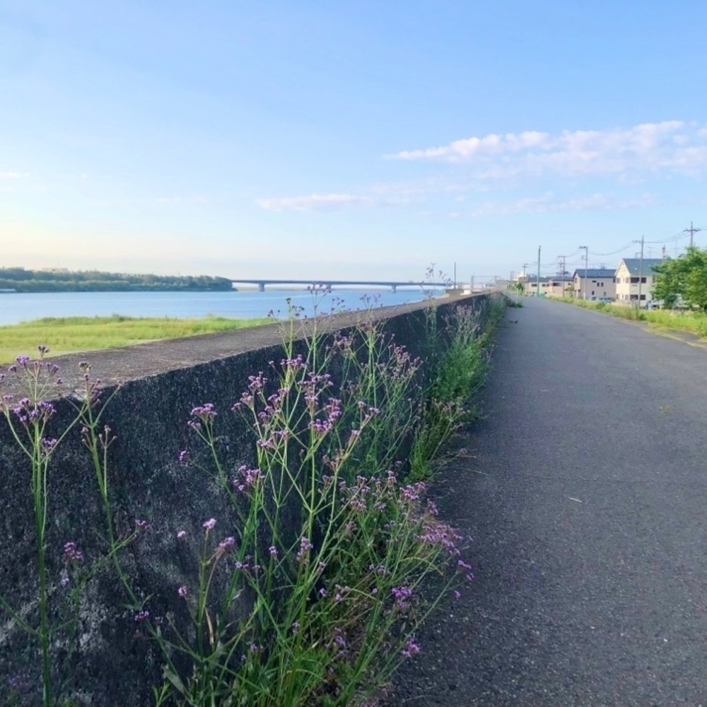 平塚駅南口 相模川・漁港 のびのび周遊＊courseの写真4