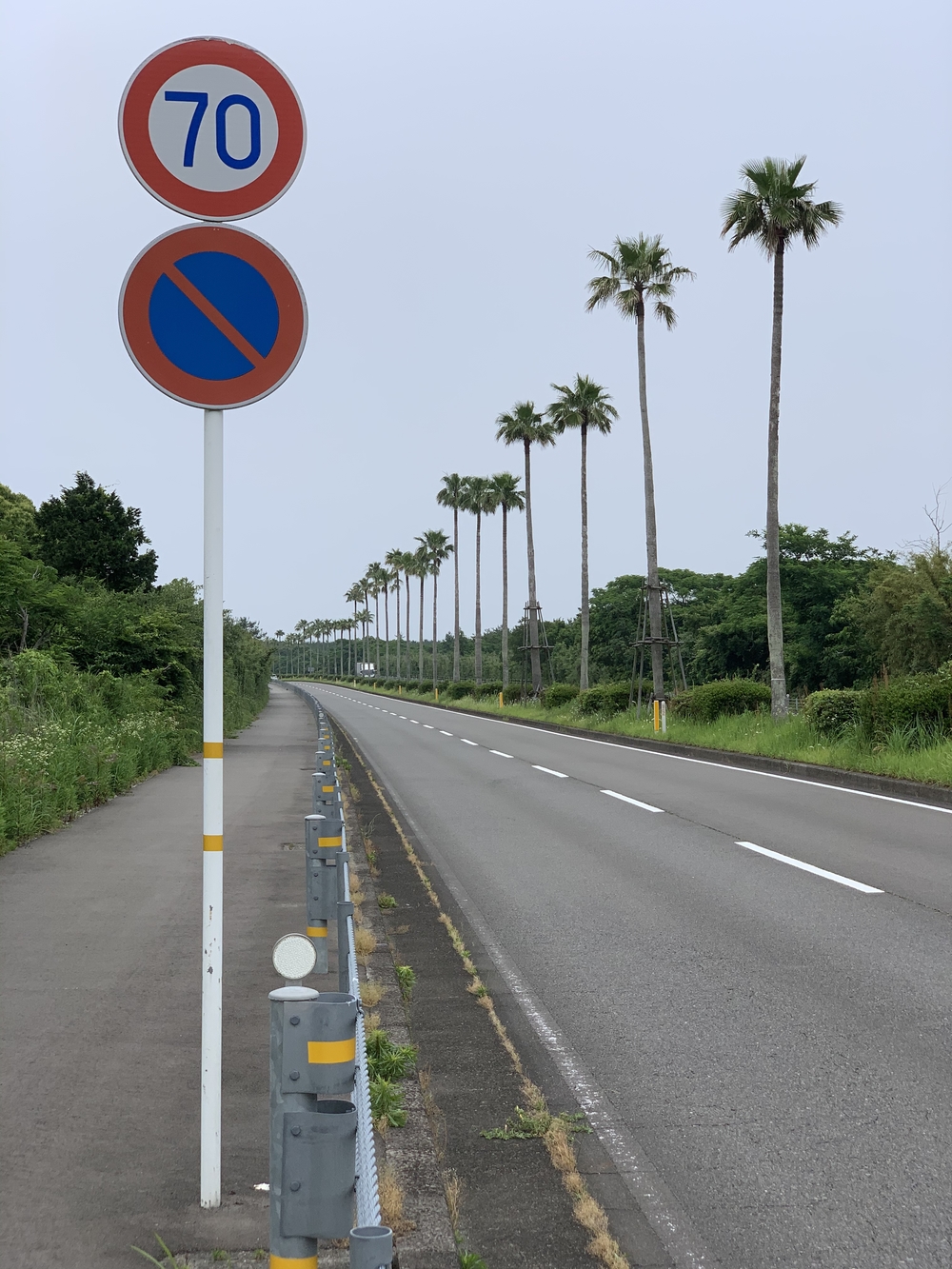 シーガイア海の見えるコース🏝の写真4