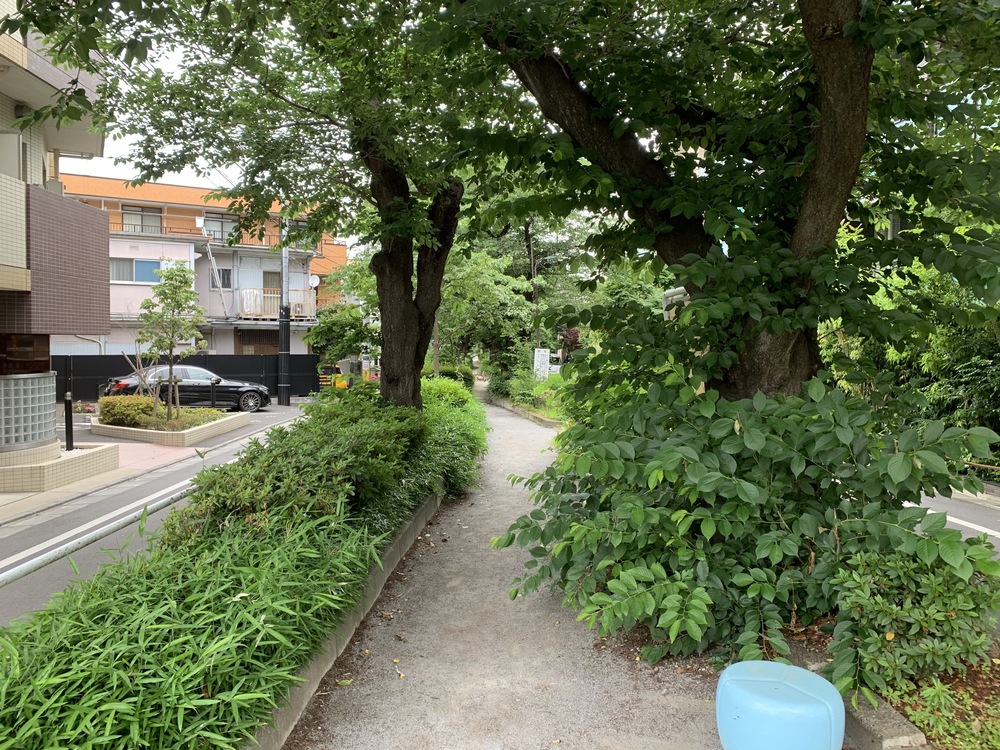 駒沢公園経由　呑川緑道〜柿の木坂支流緑道　周回Runの写真3