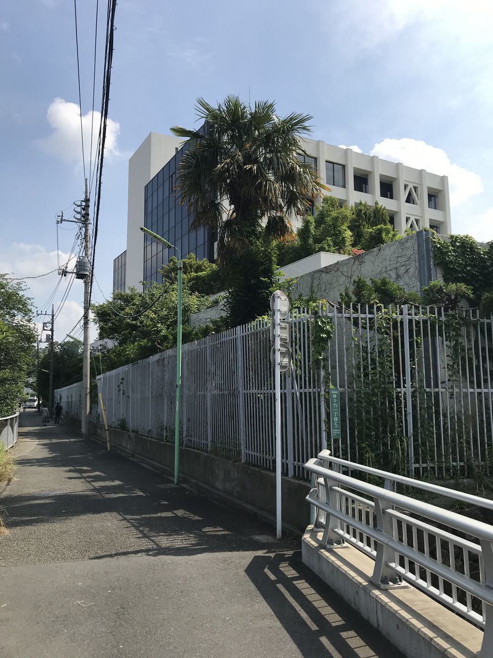 丸子川沿いをゆるっとランして紫陽花を見に行こう！の写真4