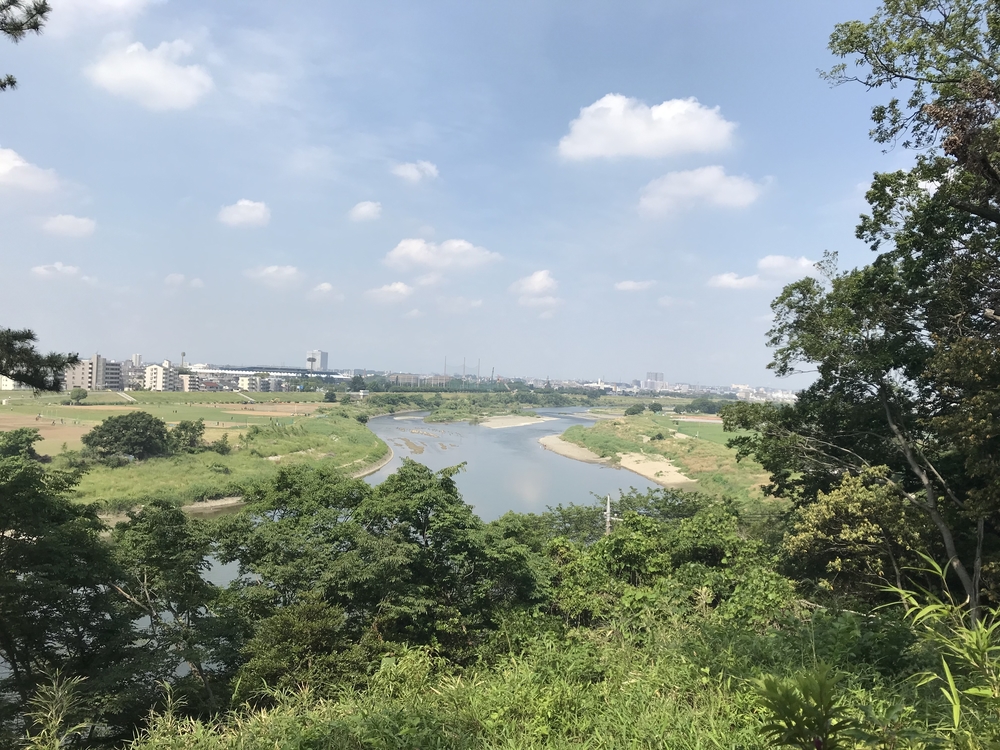 丸子川沿いをゆるっとランして紫陽花を見に行こう！の写真5