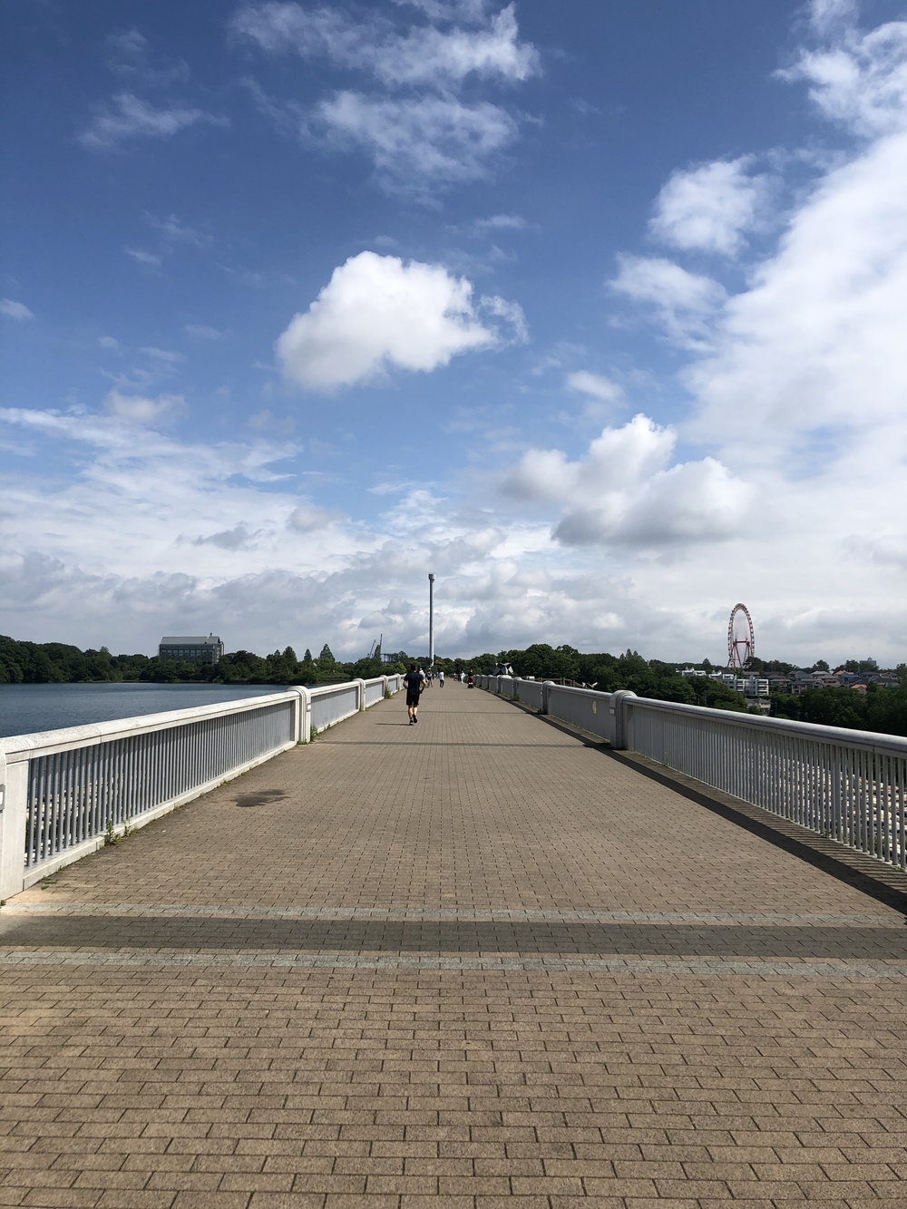 晴れたら最高　地元　東村山の写真3