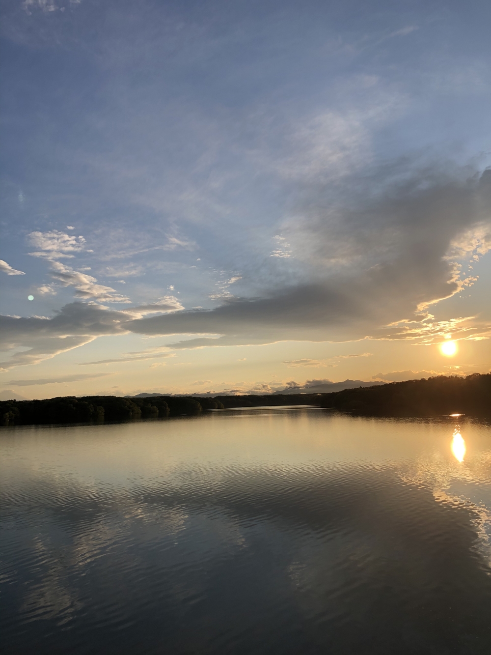 晴れたら最高　地元　東村山の写真4