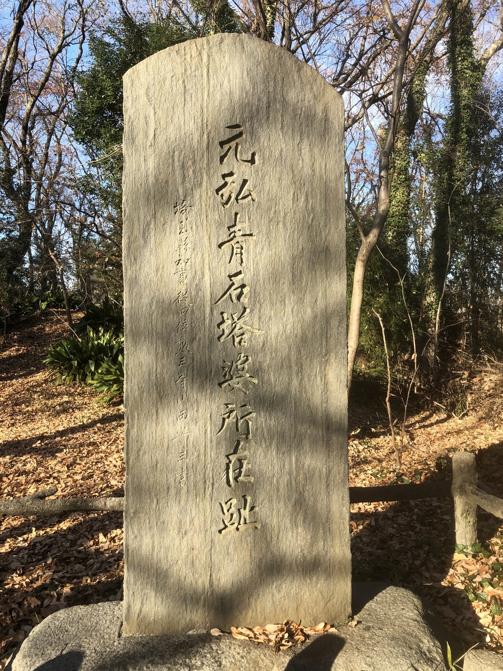 晴れたら最高　地元　東村山の写真6