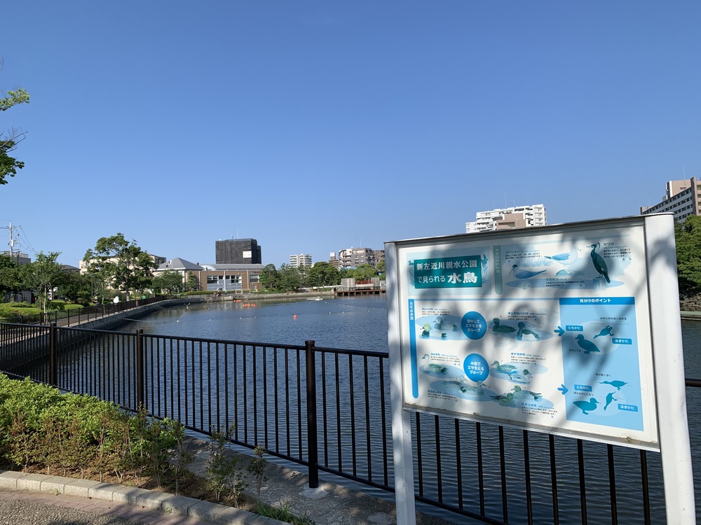 葛西臨海公園～TDR一周～新左近川親水公園の写真9