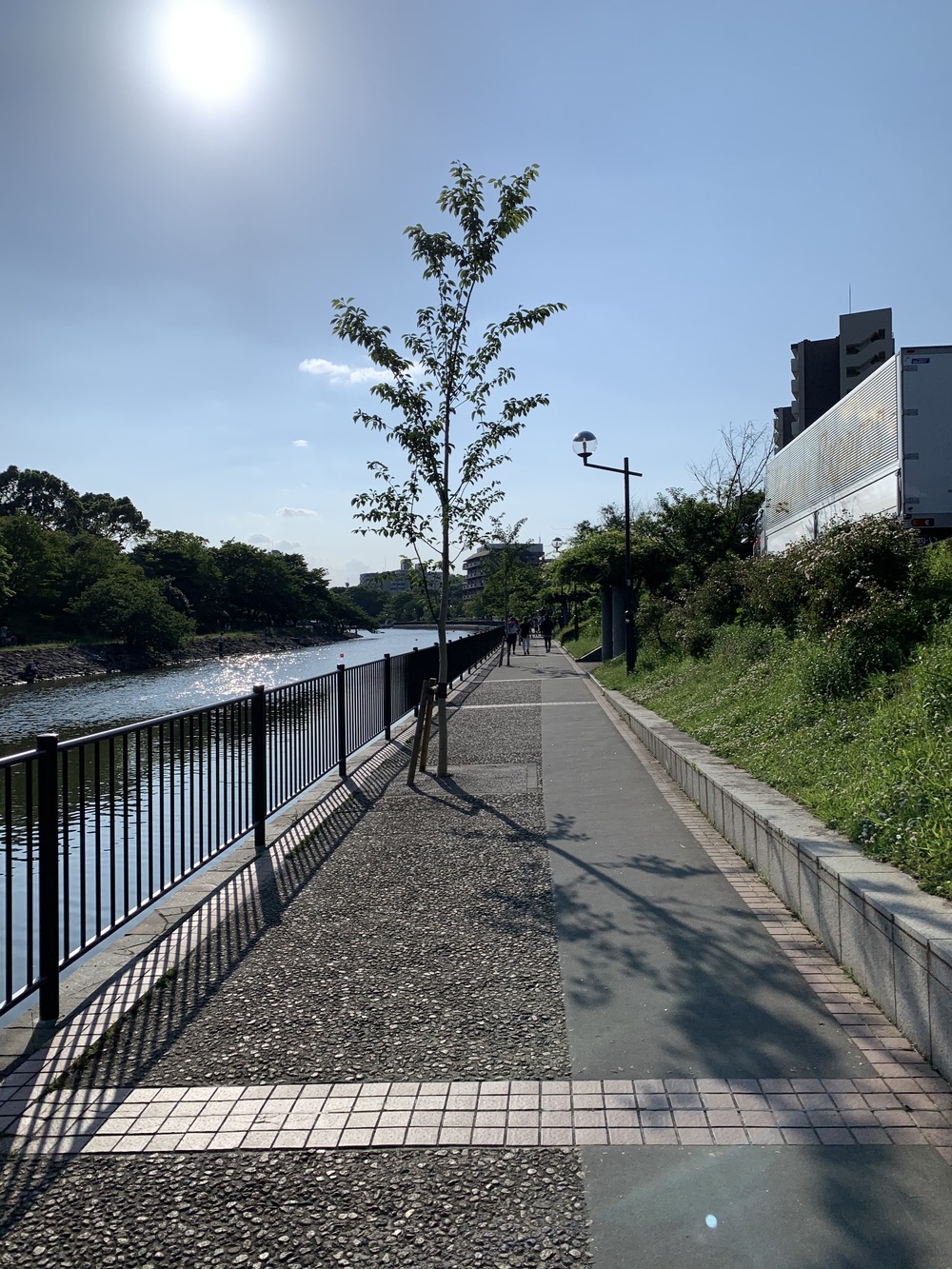 葛西臨海公園～TDR一周～新左近川親水公園の写真10