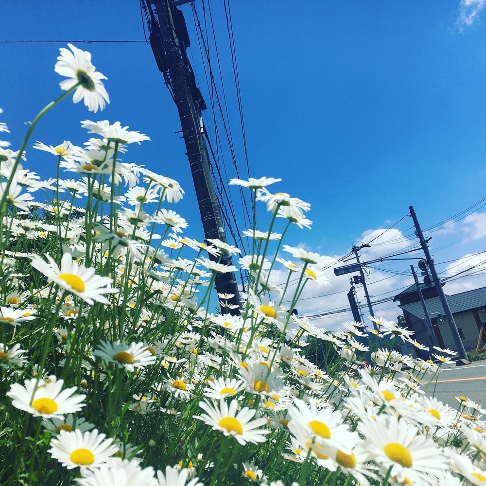 自然たっぷり！の写真3