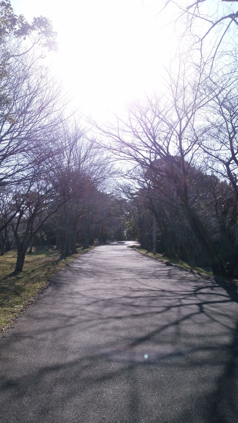 野口みずきさんの記念碑が起点！伊勢のパワースポットで充電ランニングの写真3