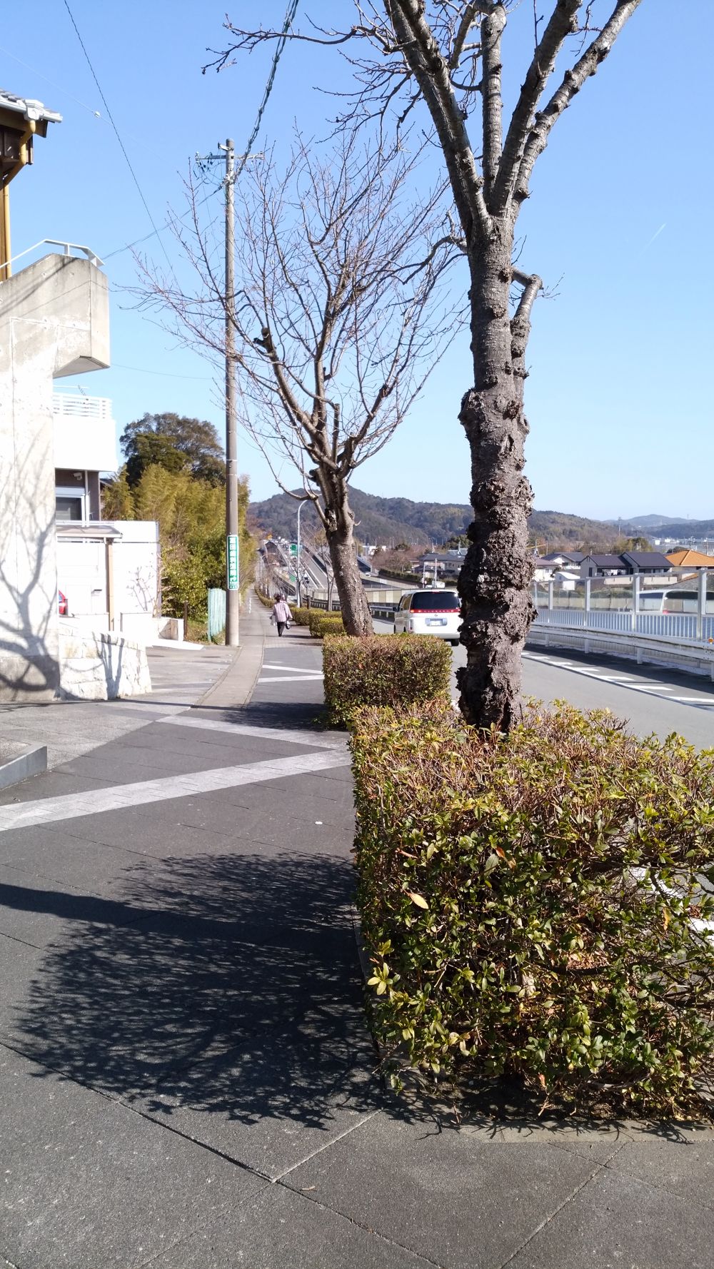 野口みずきさんの記念碑が起点！伊勢のパワースポットで充電ランニングの写真11