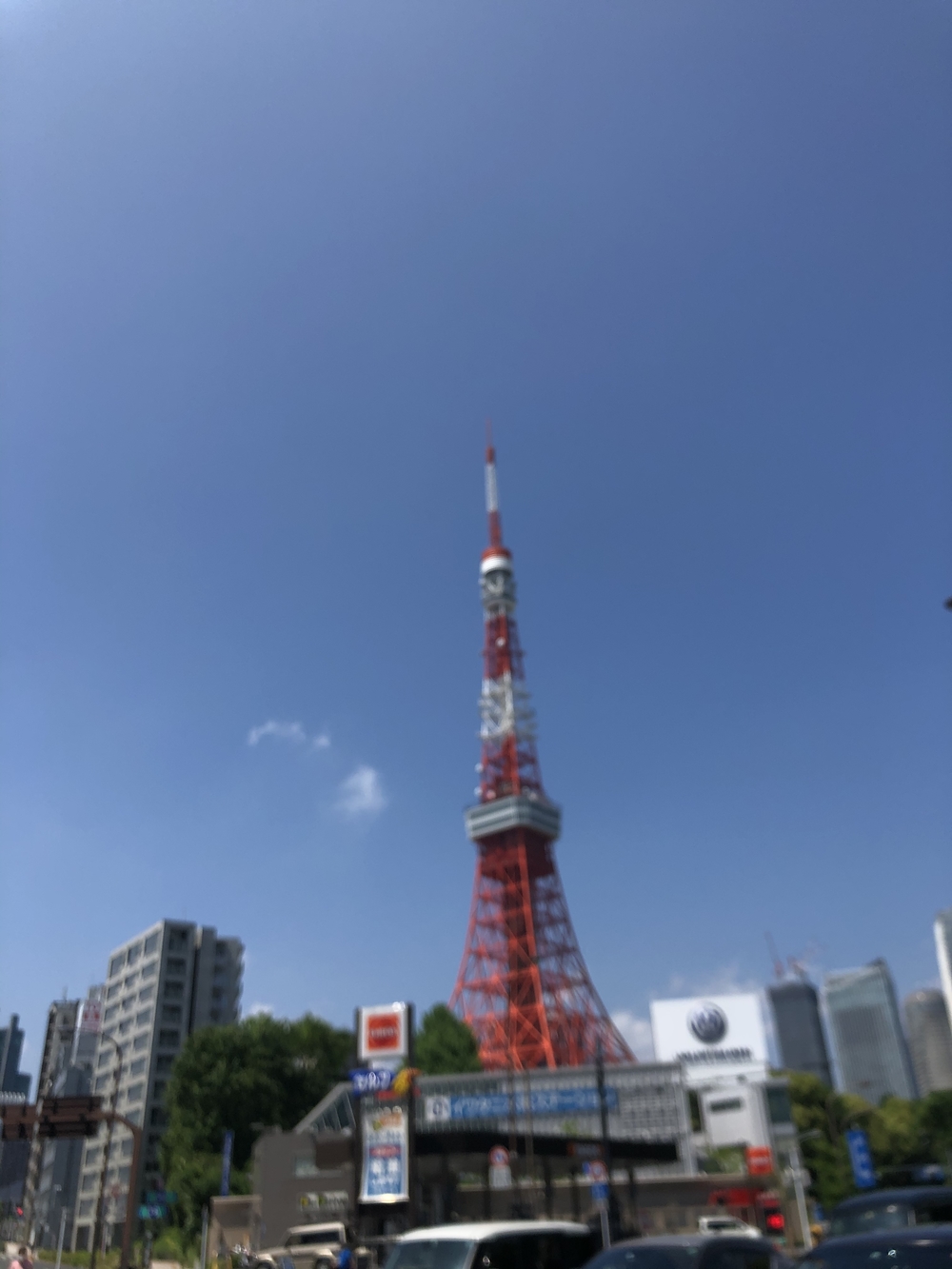 ★お絵描きラン(14)　🦔ハリネズミ🦔のくるりん【港区】の写真3