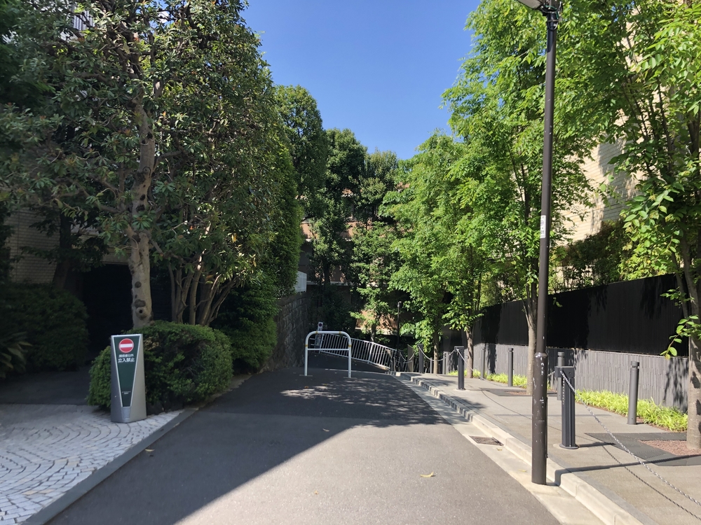 ★お絵描きラン(14)　🦔ハリネズミ🦔のくるりん【港区】の写真4