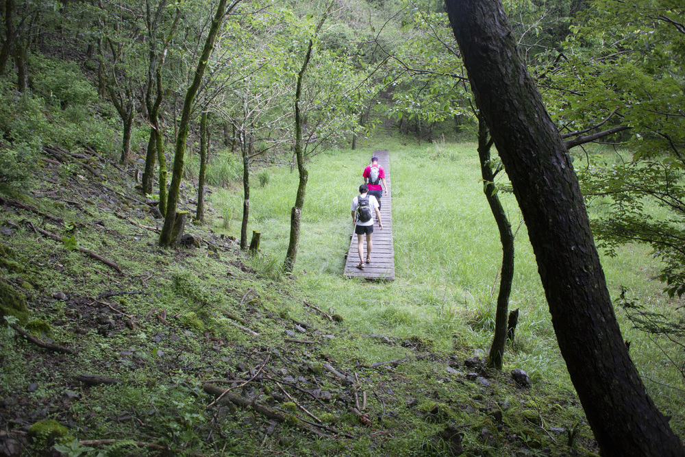 「東海自然歩道」竜ヶ岳→端足峠→割石峠の写真3