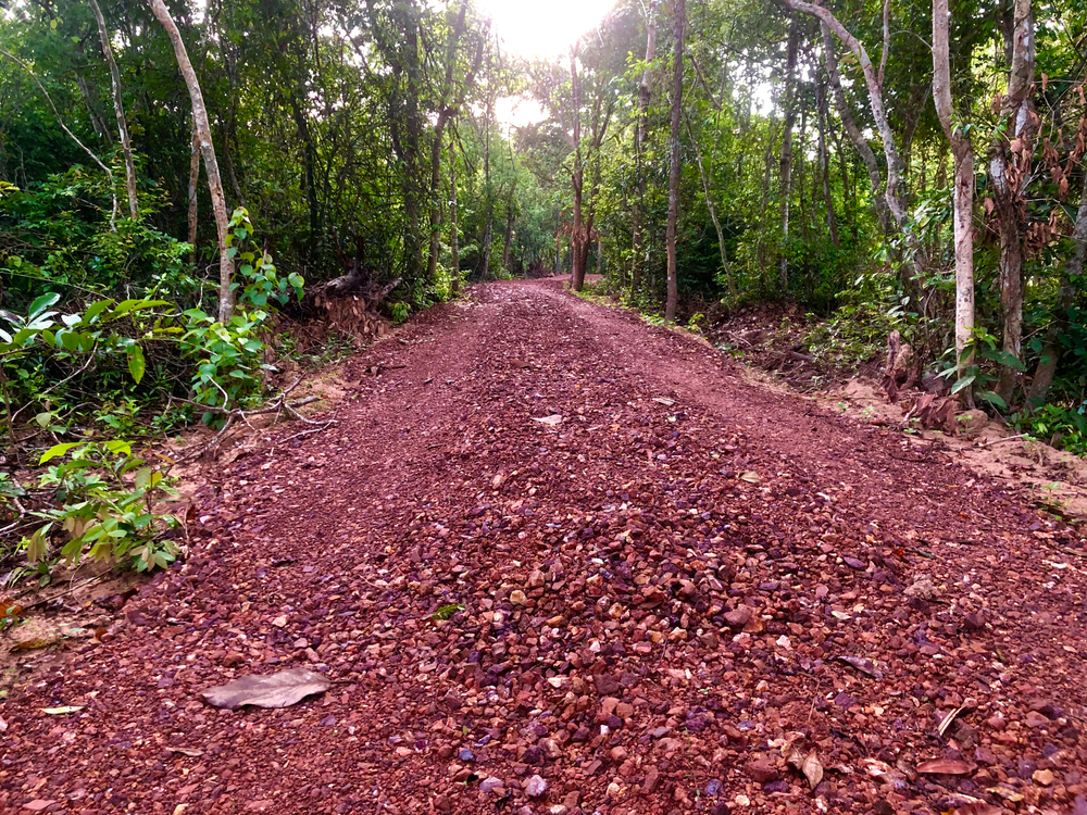 カンボジア / アンコール遺跡を走って巡礼の写真4