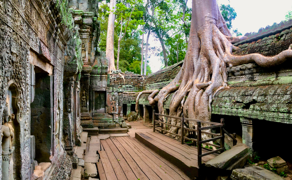 カンボジア / アンコール遺跡を走って巡礼の写真6