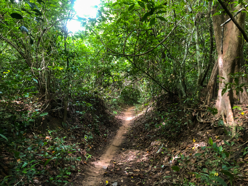 カンボジア / アンコール遺跡を走って巡礼の写真10