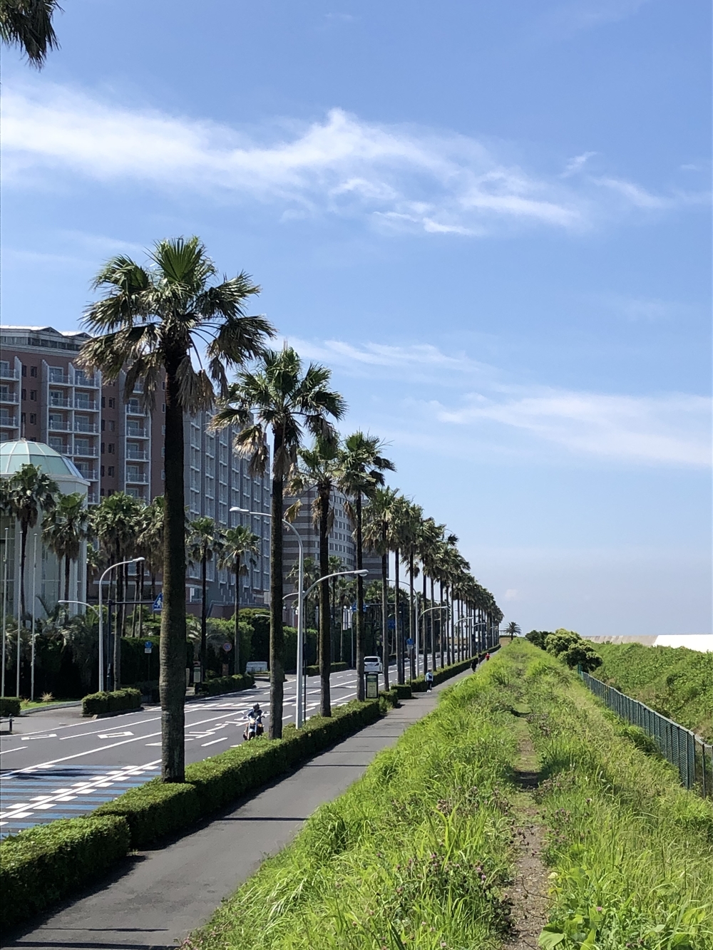 東京ディズニーリゾート1周の写真4