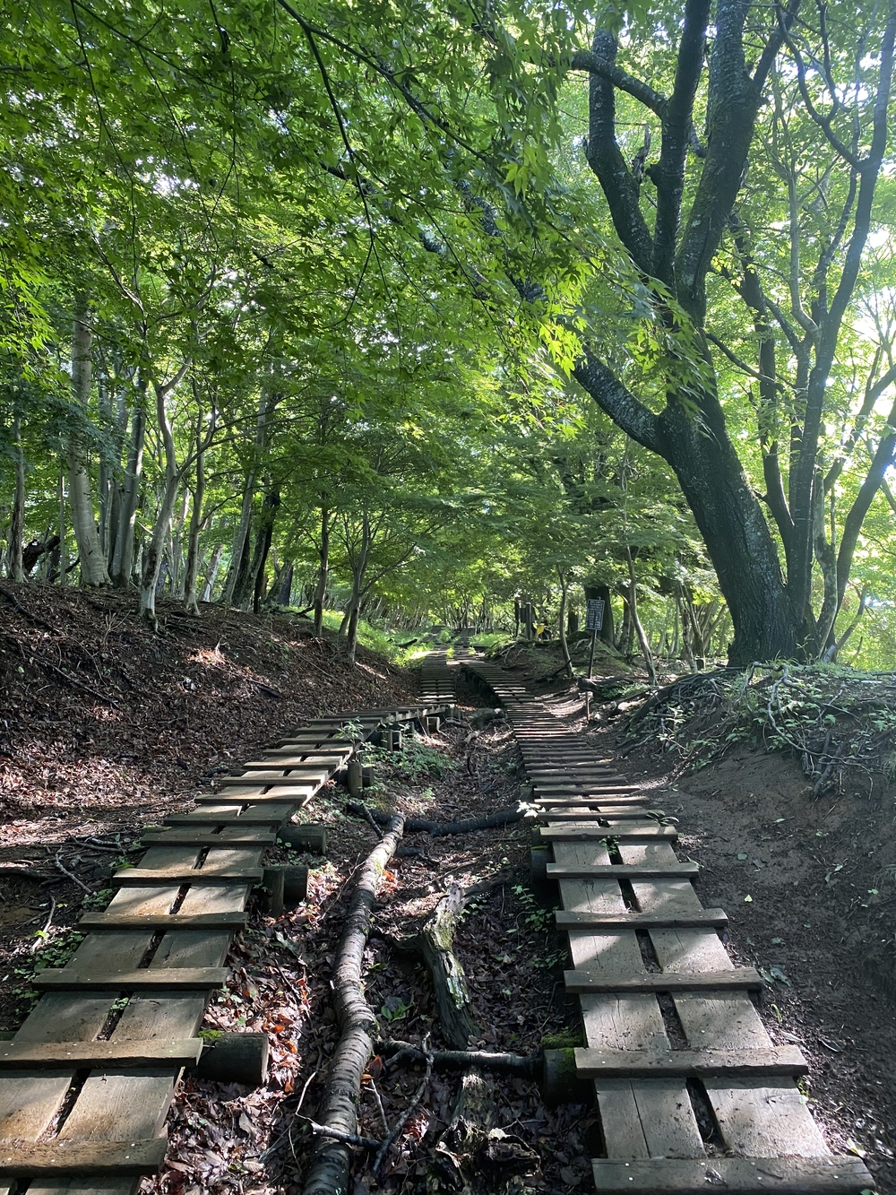 塔ノ岳〜蛭ヶ岳往還と上り下りを楽しむトレランルートの写真3