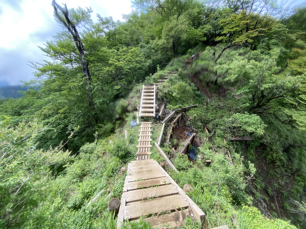 塔ノ岳〜蛭ヶ岳往還と上り下りを楽しむトレランルートの写真5