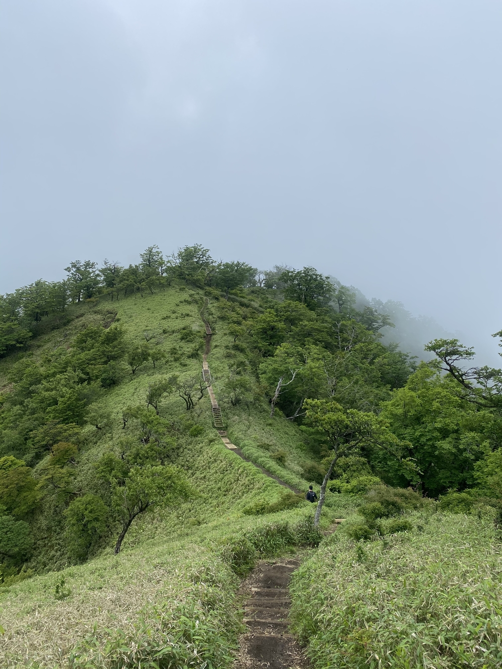 塔ノ岳〜蛭ヶ岳往還と上り下りを楽しむトレランルートの写真7
