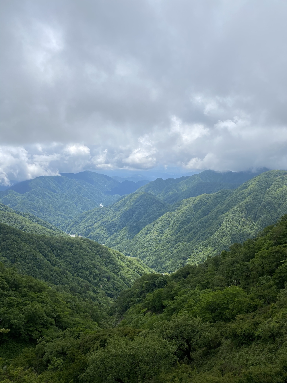 塔ノ岳〜蛭ヶ岳往還と上り下りを楽しむトレランルートの写真8