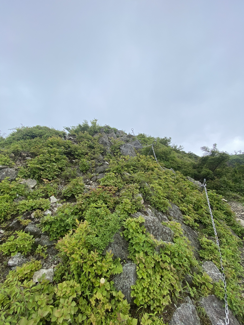 塔ノ岳〜蛭ヶ岳往還と上り下りを楽しむトレランルートの写真9