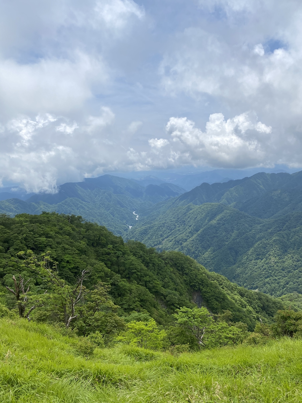 塔ノ岳〜蛭ヶ岳往還と上り下りを楽しむトレランルートの写真10