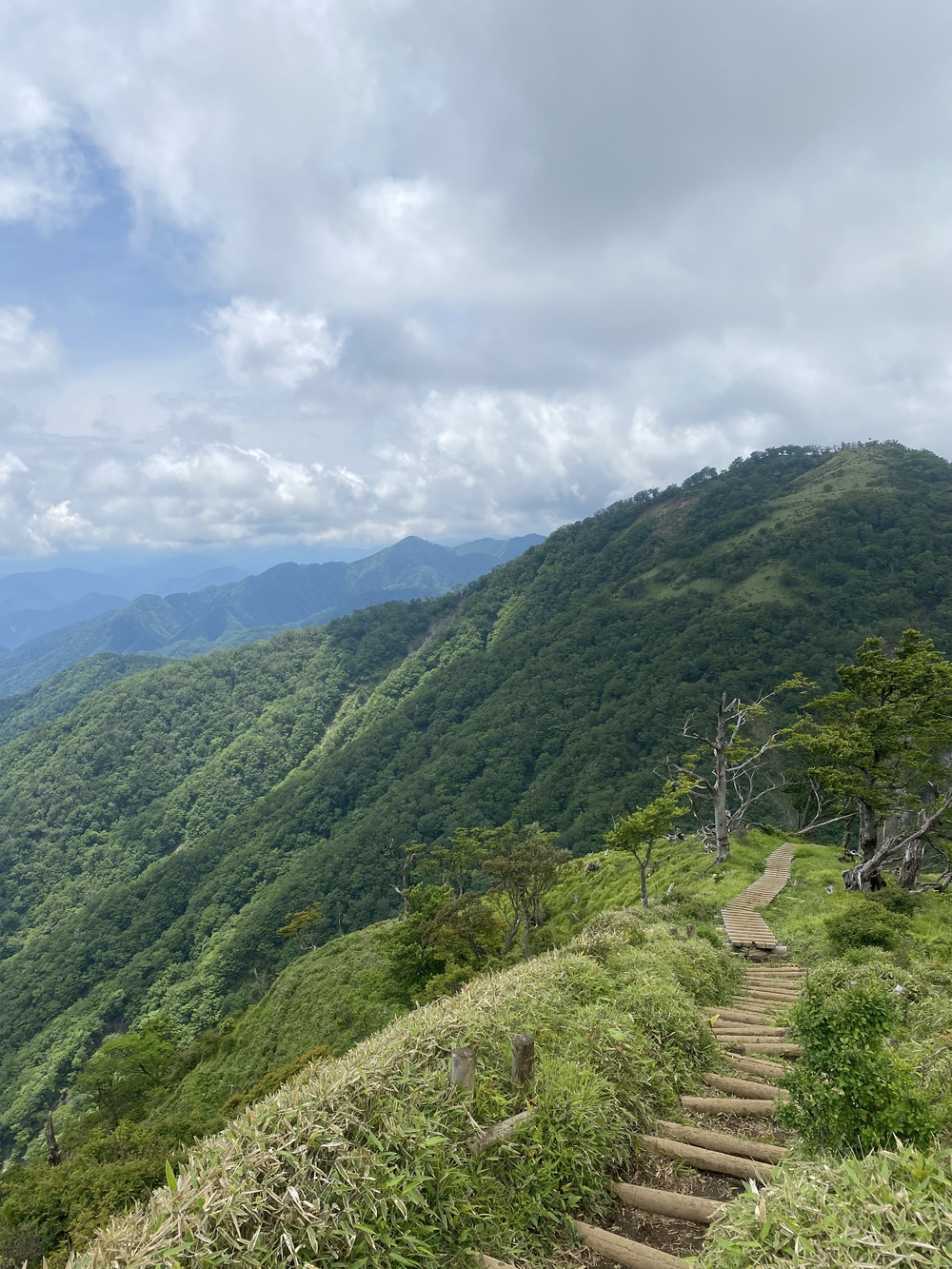 塔ノ岳〜蛭ヶ岳往還と上り下りを楽しむトレランルートの写真11