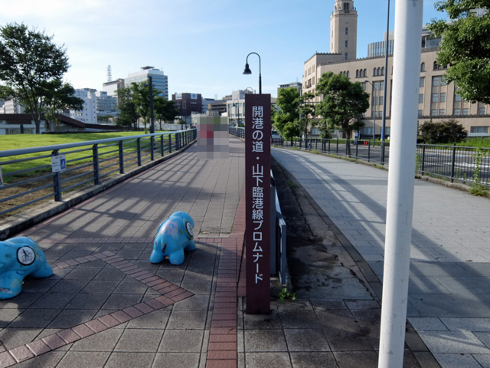 【神奈川県】横浜 みなとみらいランの写真6