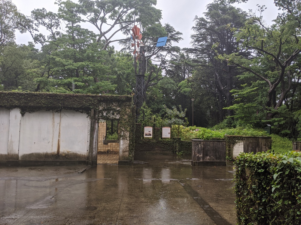 雨の横浜名所ぶらりランの写真11