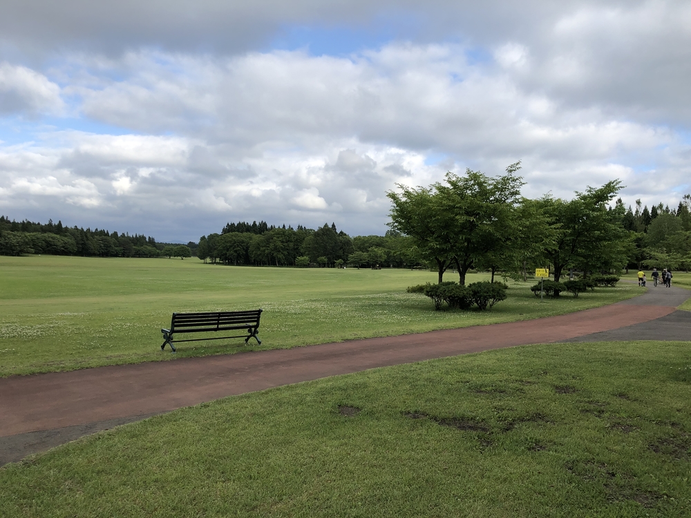 北欧の杜公園 はらっぱ 周回コースの写真3