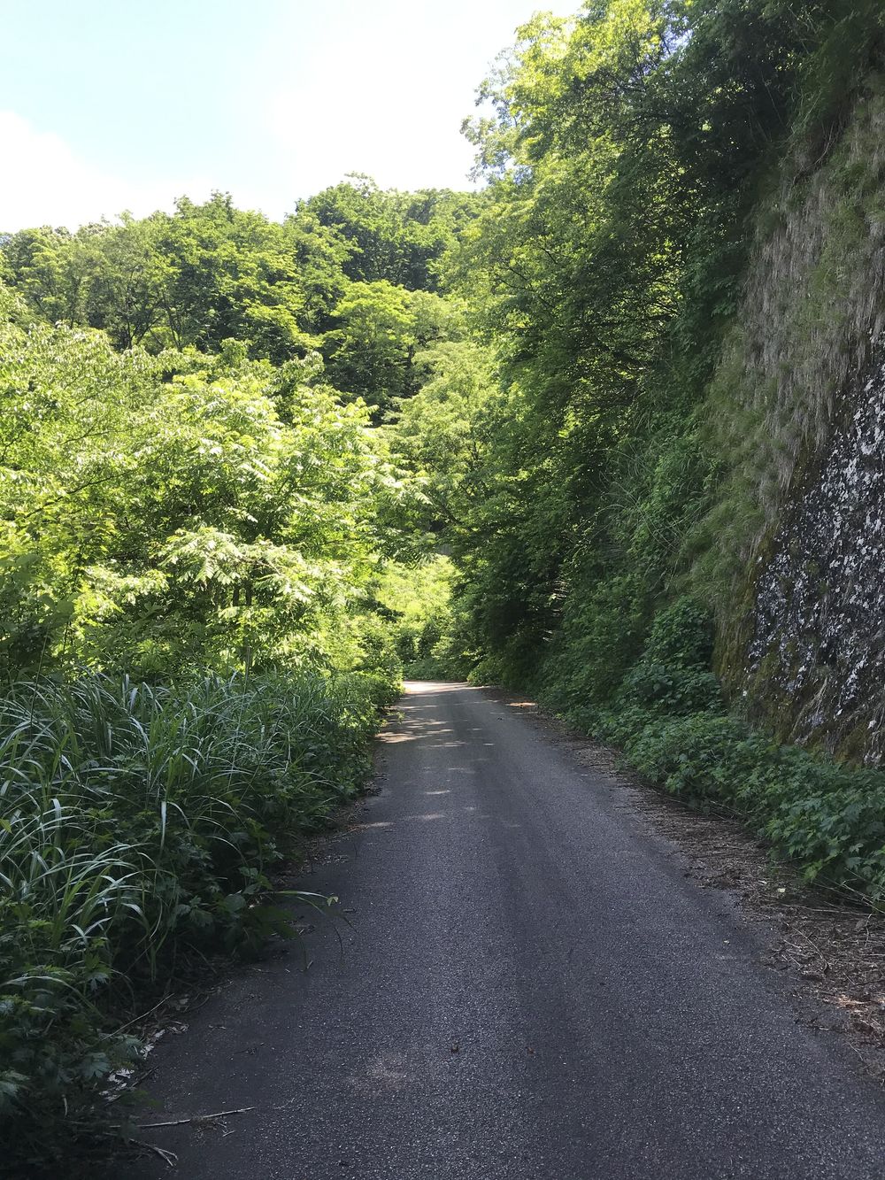 庄川水記念公園よりロードで牛岳☆の写真4