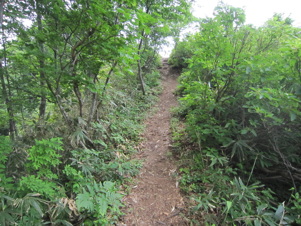 庄川水記念公園よりロードで牛岳☆の写真8