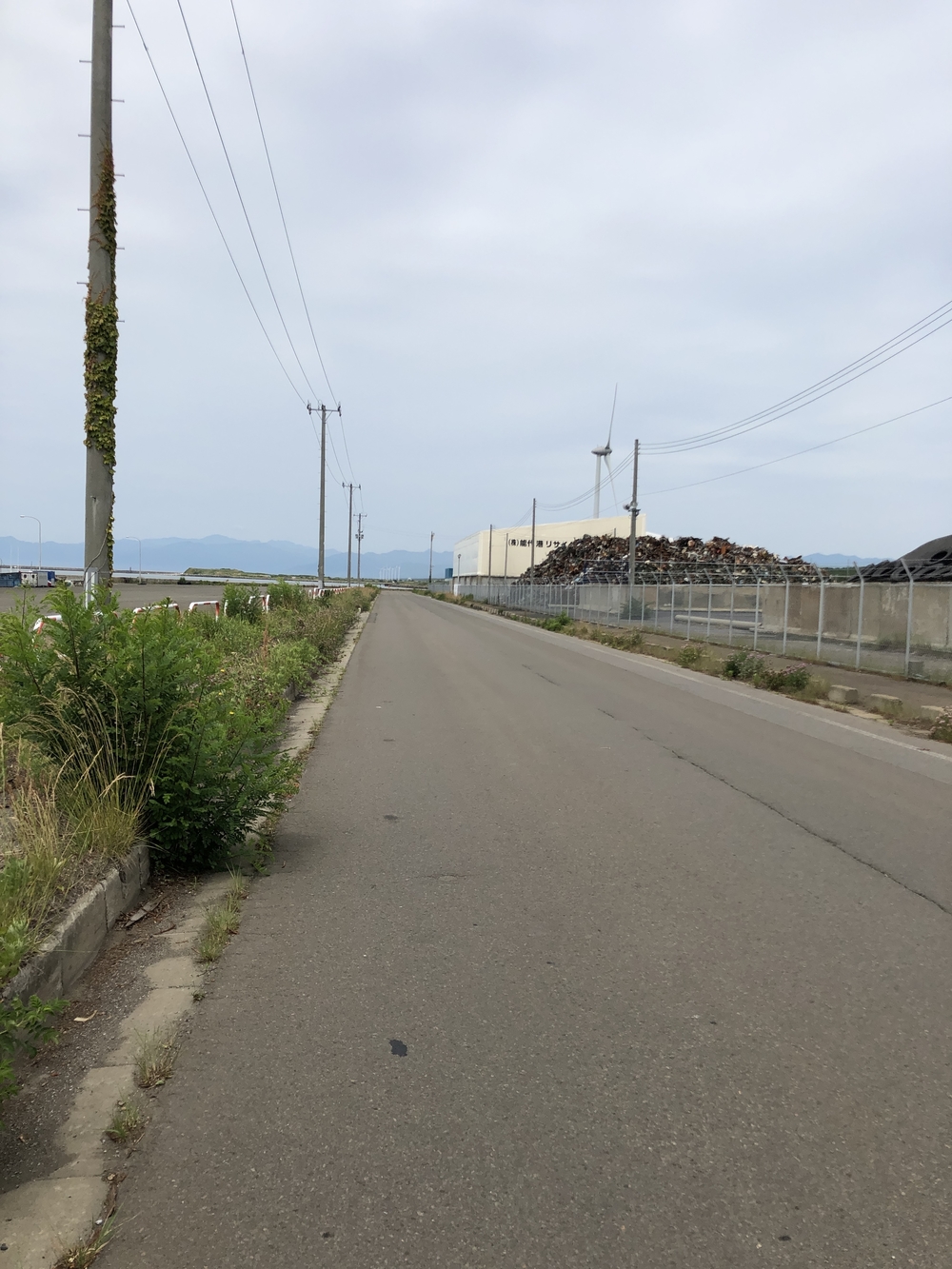 はまなす展望台 周回コースの写真3