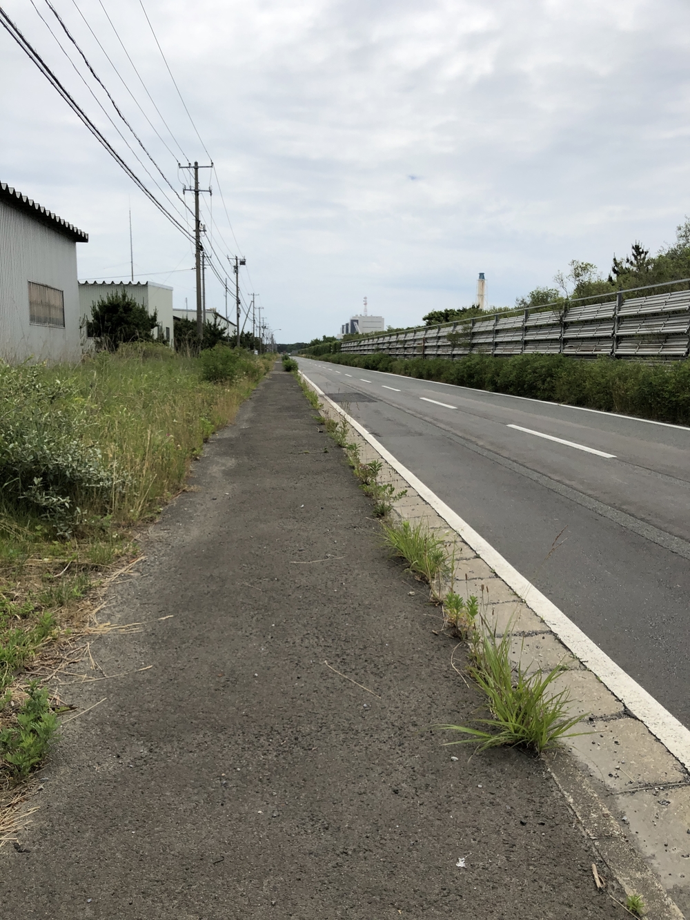はまなす展望台 周回コースの写真4