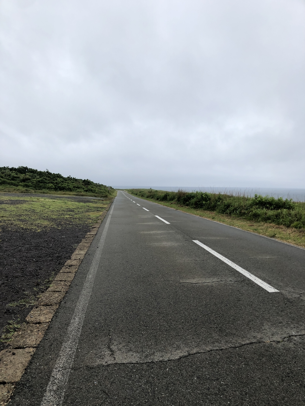 入道埼灯台 往復コースの写真3