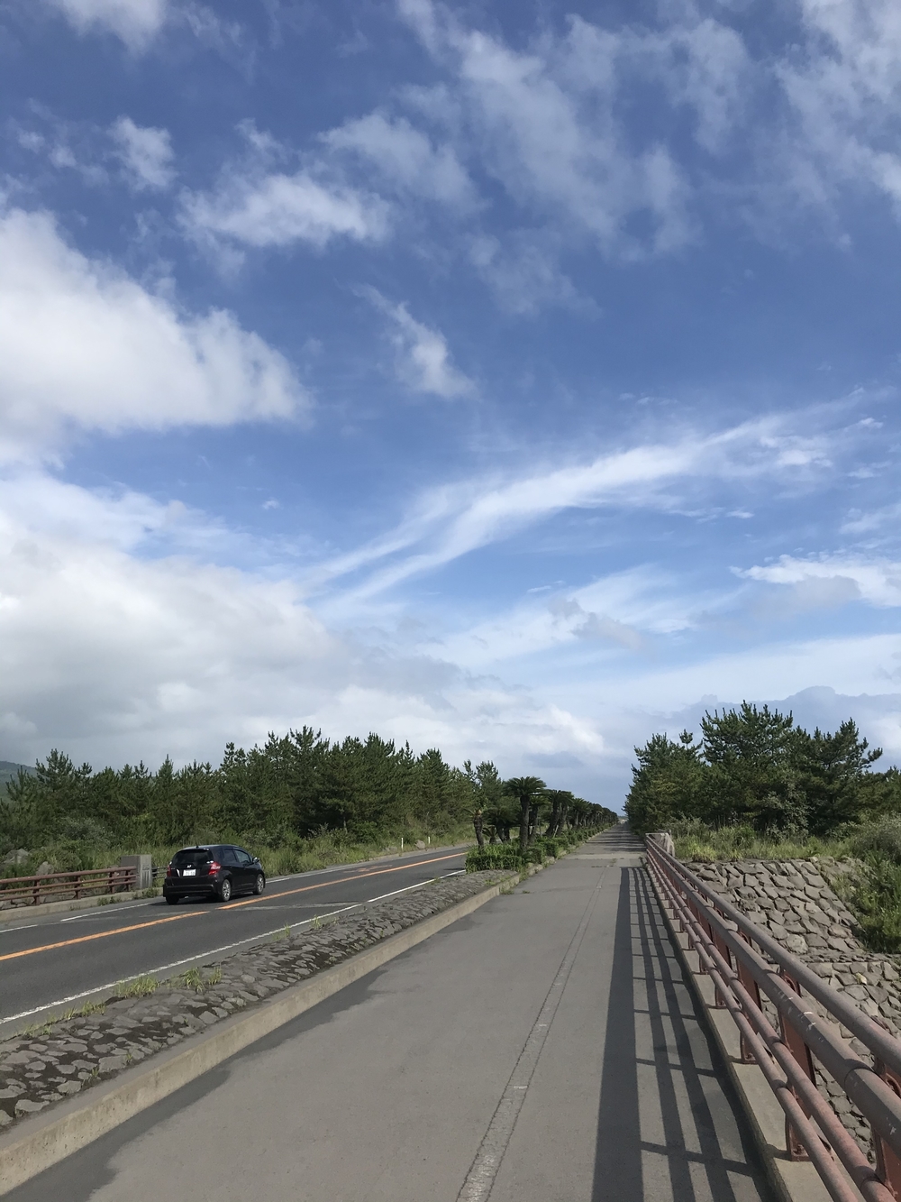 アップダウンありのなかなかハードな桜島1周コースの写真4